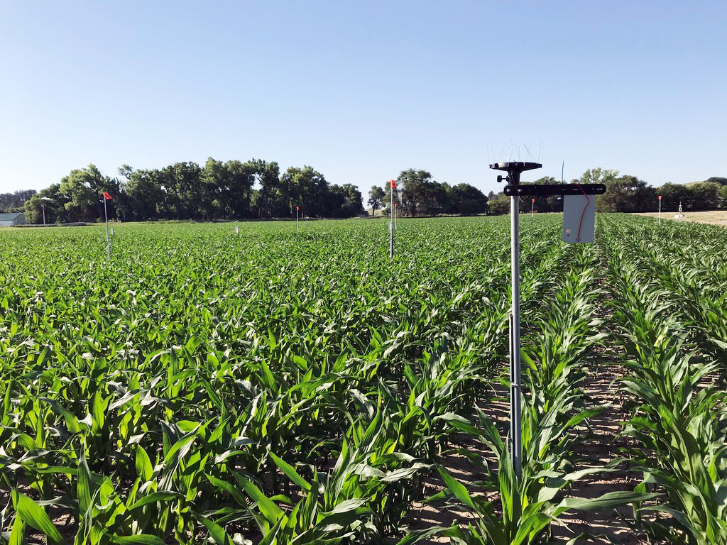 Researchers with the University of Nebraska-Lincoln will use the Arable Mark IOT device to record 40 variables in Nebraska farm fields as part of a research effort to improve data farmers use to determine whether they should irrigate.