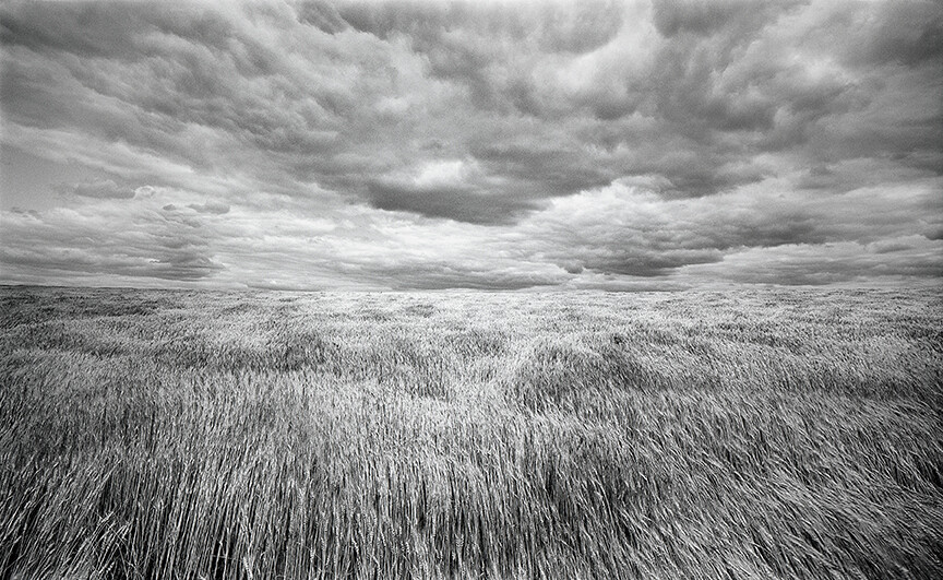 Lawrence McFarland, Kansas-Nebraska Wheatfield, 1976.