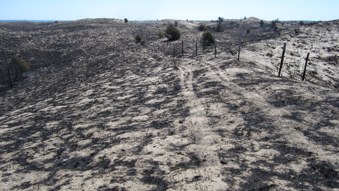 2012 Wildfire devastation