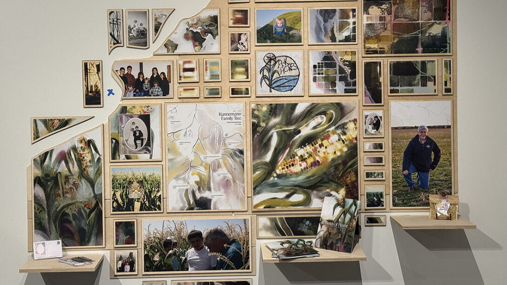 Collage of artworks on a wall.