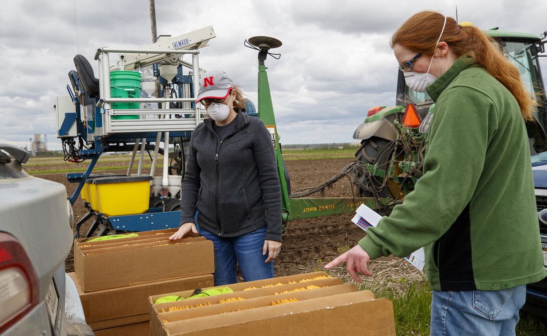Corn research at Nebraska's Havelock Farm