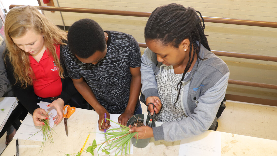 Students in Agronomy 204 Resource Efficient Crop Management class cut cover crops prior to weighing.