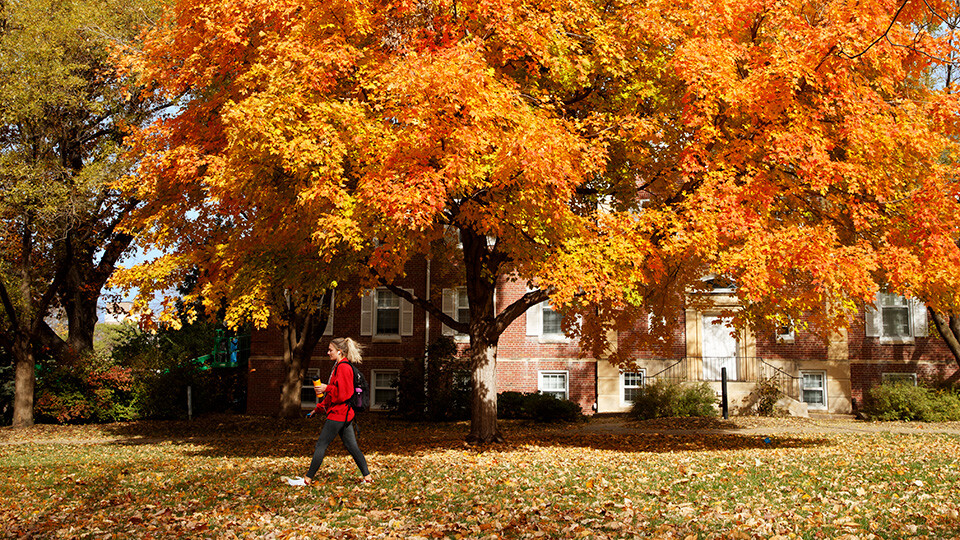 Autumn foliage on East Campus. [Craig Chandler | University Communication and Marketing]