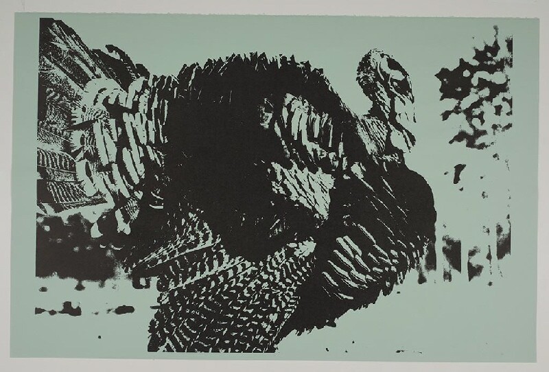 "Turkey" from Eugene Feldman's "Spot Book, A Portfolio of Animal Prints." The photo-offset lithograph is part of the Sheldon Museum of Art's collection.
