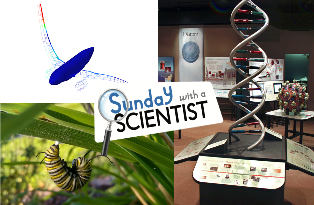 Fall Sunday with a Scientist topics include arthropods, DNA, and aircraft and vibrations.