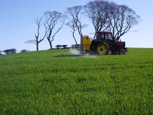 UNL is now offering a fully online graduate certificate in grassland management.