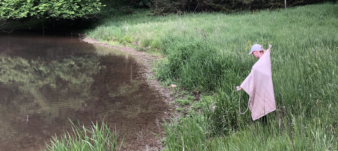 Nebraska student using cloth drags to gather ticks in a field.