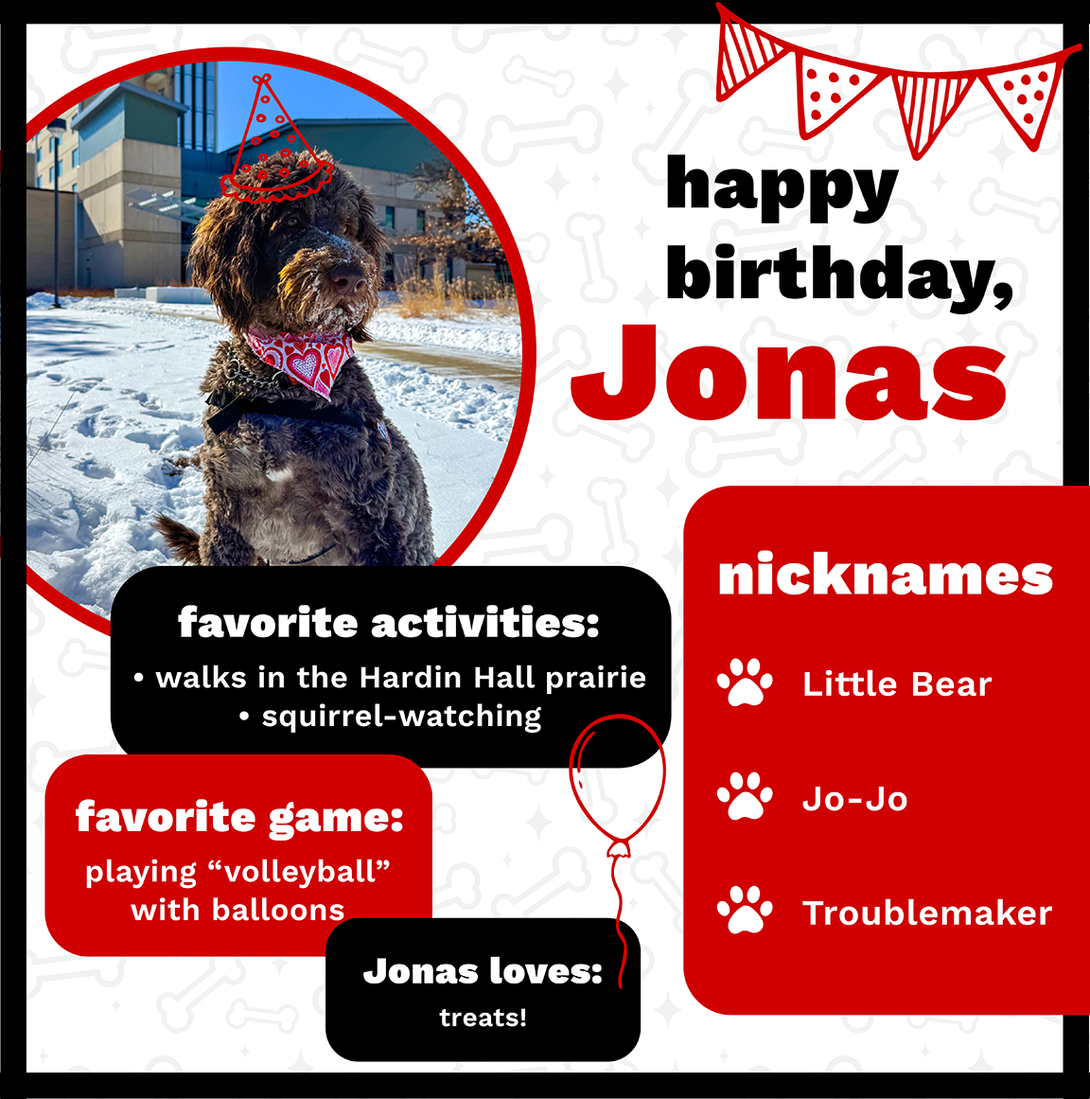 Happy birthday, Jonas