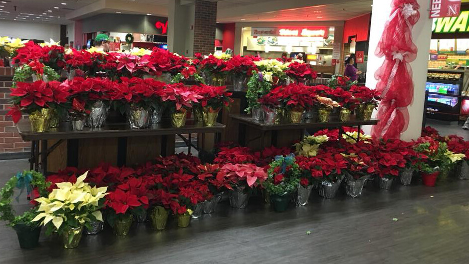 Horticulture Club's annual poinsettia sale in the Nebraska Union.