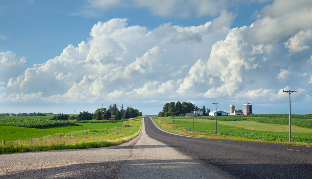 A rural asphalt road is flanked by crops.