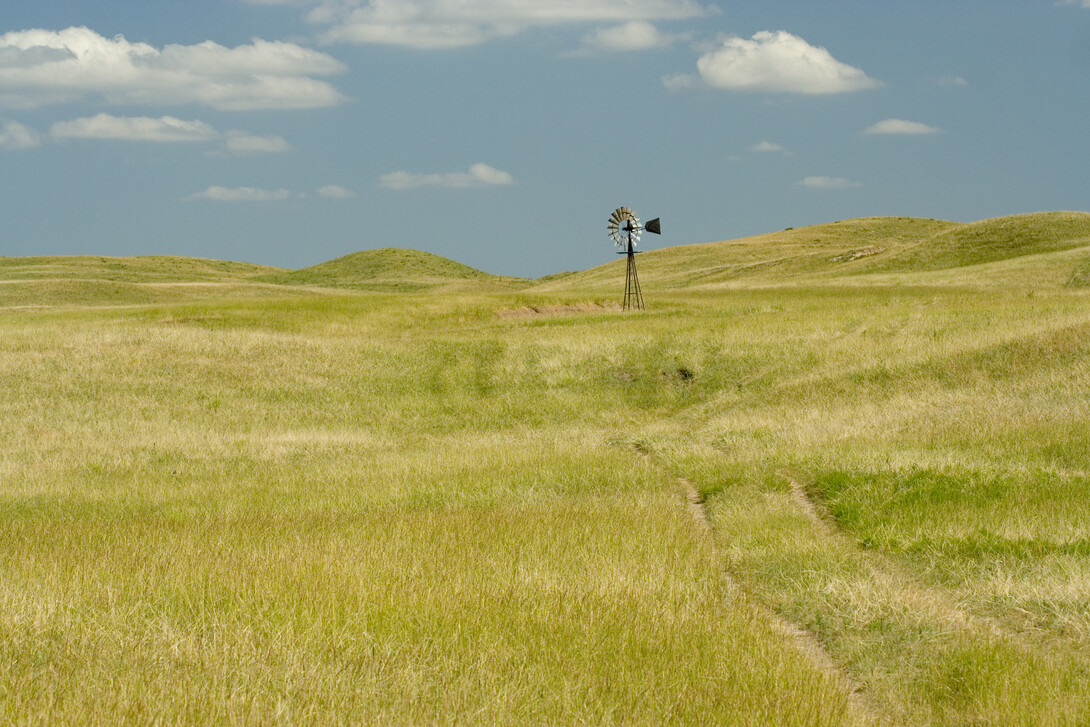 Nebraska grassland
